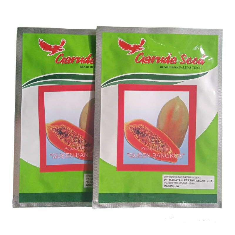Benih Pepaya Bangkok QUEEN BANGKOK 1gram Benih Pepaya Benih Pepaya Thailand Bibit Pepaya Bangkok