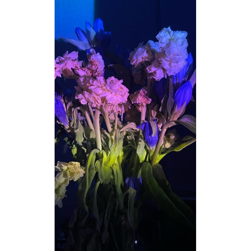 Preloved Novel Shaka Oh Shaka, 2,578.0km