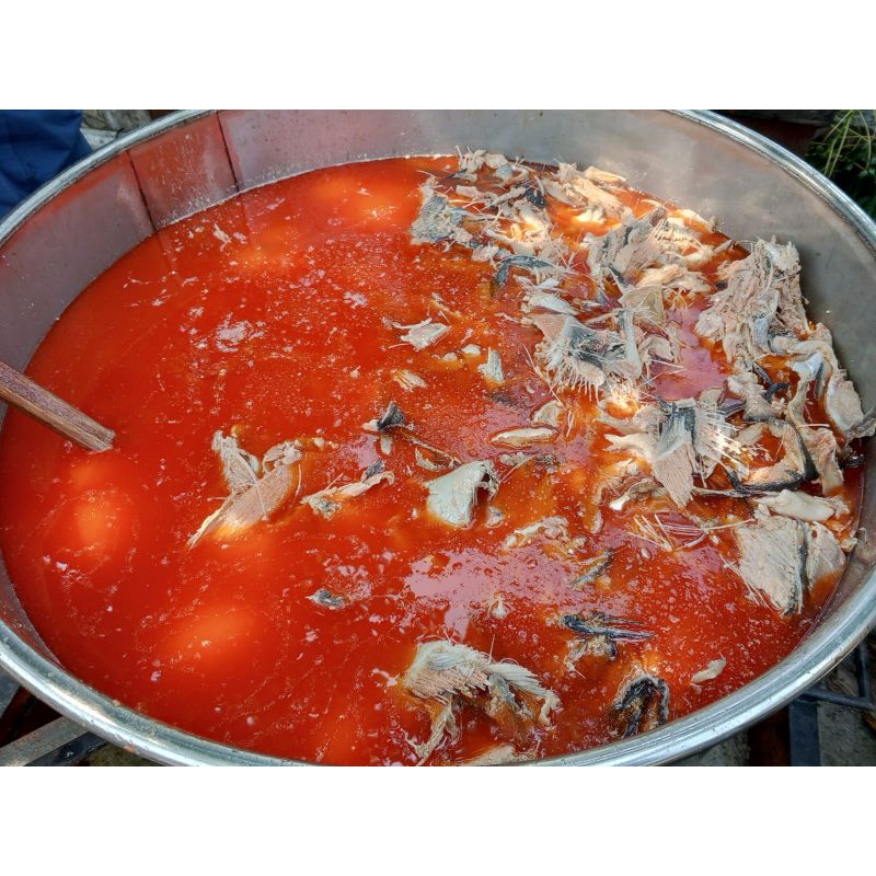 minyak ikan salmon murni