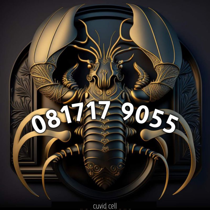 Nomor cantik bukan TELKOMSEL 10 DIGIT tapi XL REGULER 10 digit Seri Tahun kartu PERDANA XL 10 DIGIT