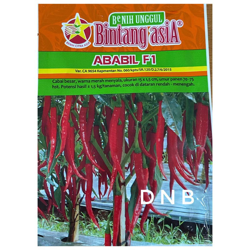 Benih Cabe besar ABABIL 10 gr F1 BINTANG ASIA