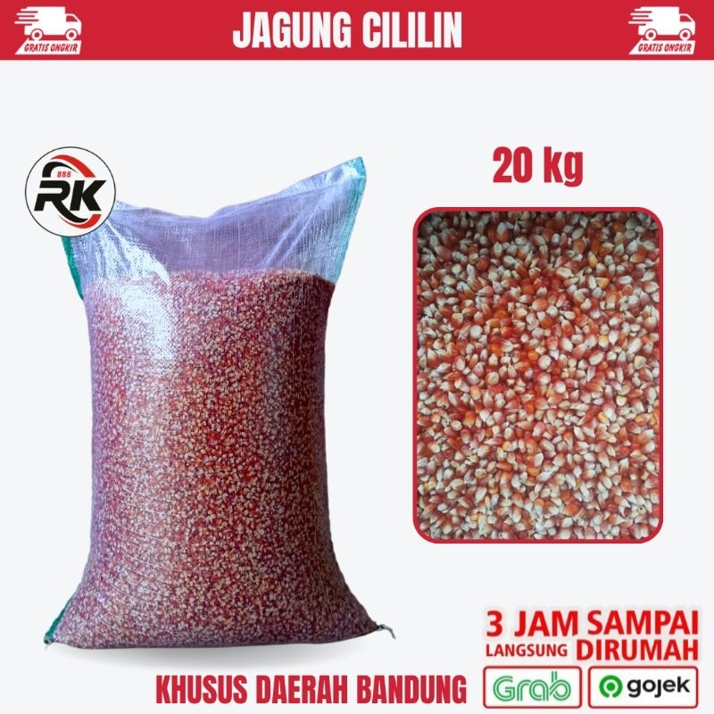 JAGUNG CILILIN GREAT A / B 20 KG MAKANAN BURUNG MERPATI DARA AYAM