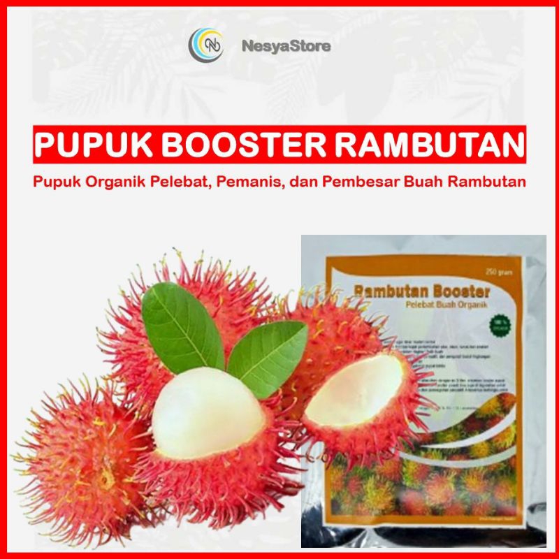 Pupuk Ampuh Booster Rambutan Perangsang Buah Rambutan Anti Rontok - Pupuk Buah