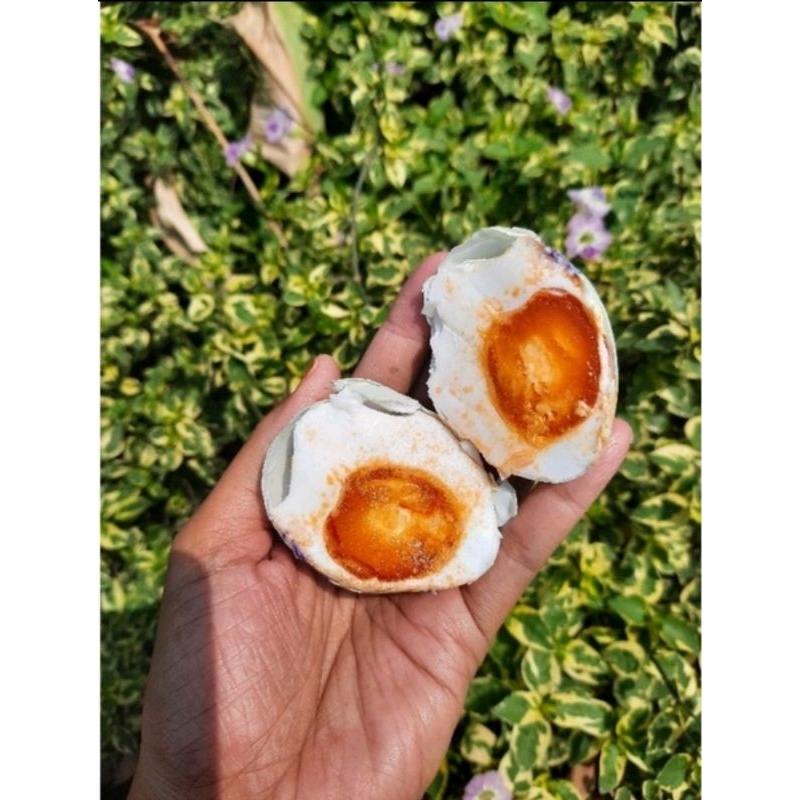 

TELUR ASIN MASIR Minim Order 5 butir