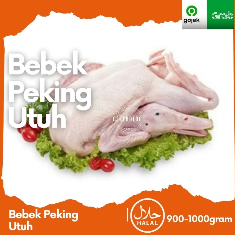 

Bebek Peking Utuh 1kg / Bebek Peking Utuh Frozen 1kg / Bebek Peking / Bebek Peking Utuh / Bebek Peking Frozen / Frozen Food / Bebek Hybrida