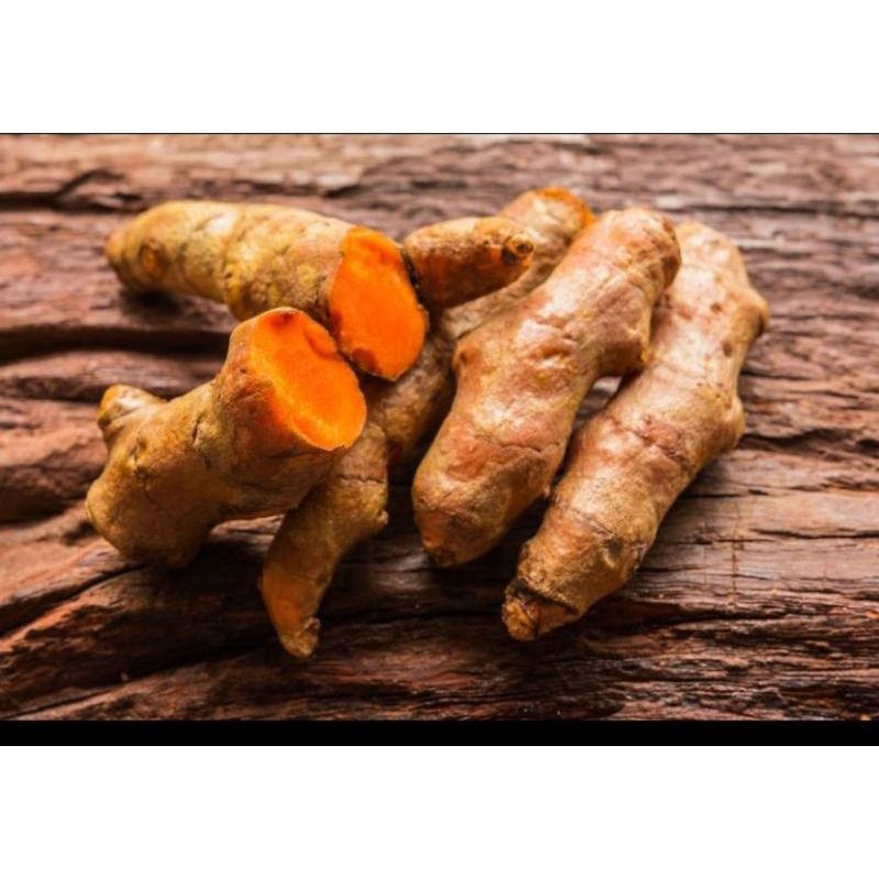 

KUNYIT SEGAR TERMURAH /HERBAL KUNYIT