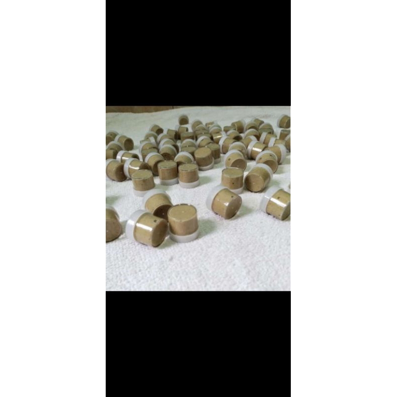 RamuanDayakAsliKalimantan