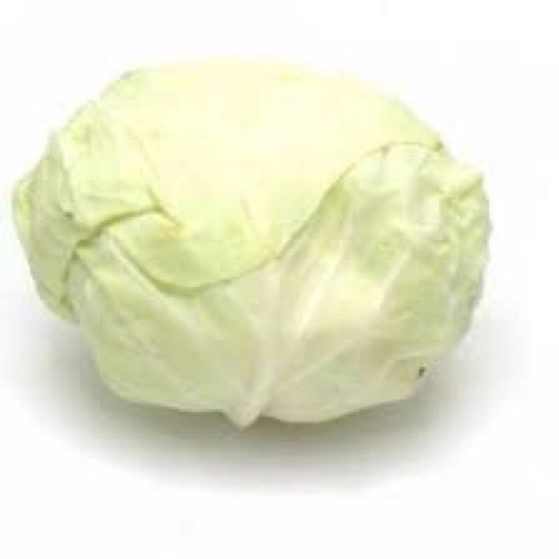 

KOL PUTIH 250 GRAM