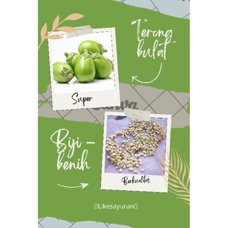 35 biji - benih terong pondoh hijau Ronggo