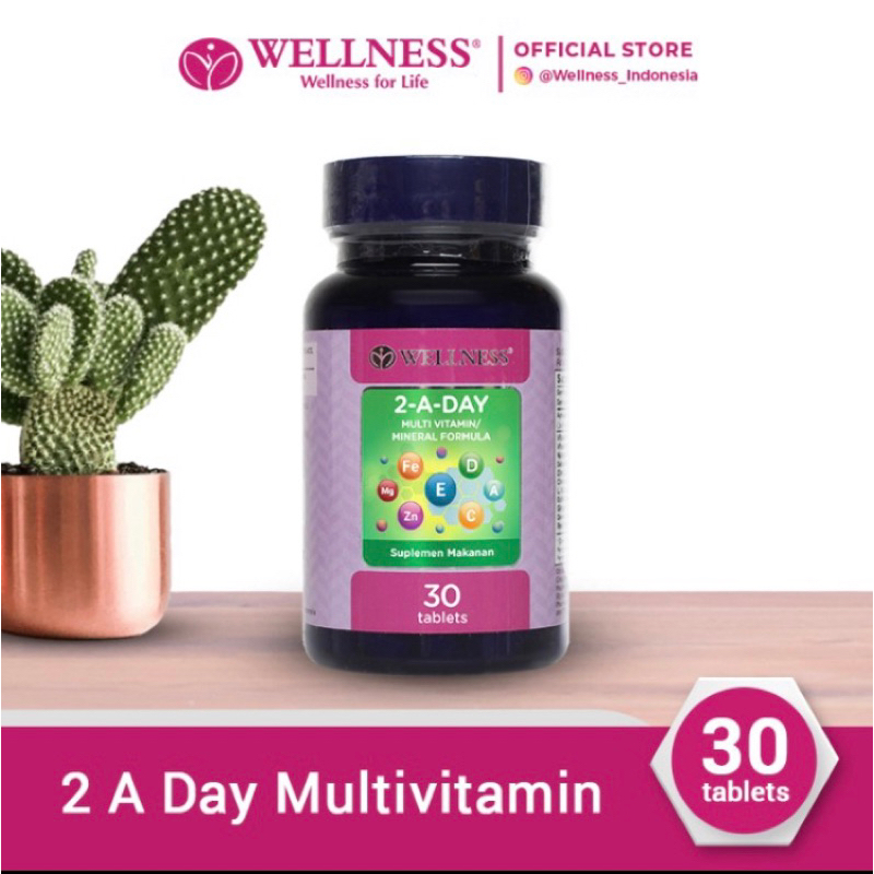 Wellness 2-A-Day Multivitamin & Mineral