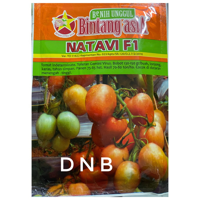 benih tomat NATAVI F1 5 gr BINTANG ASIA
