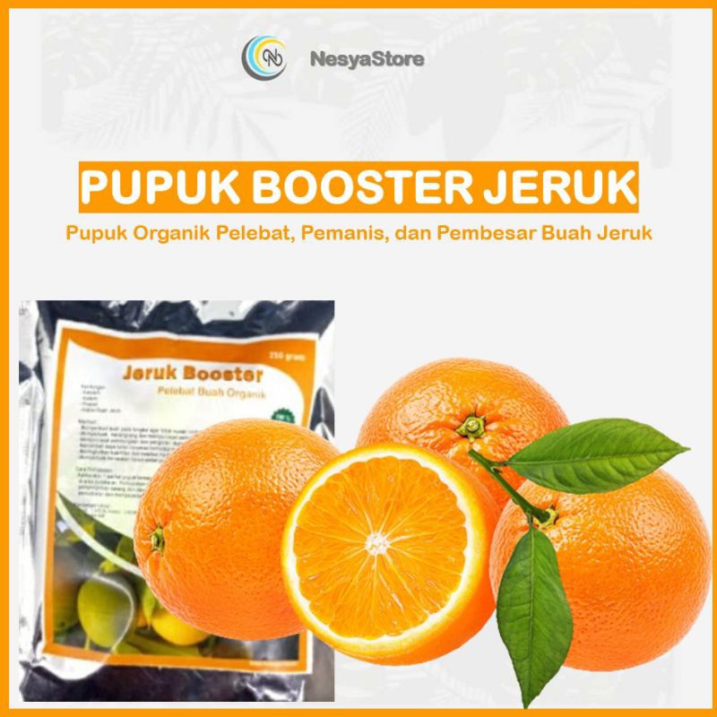 Pupuk Booster Jeruk Perangsang Buah Jeruk - Pupuk Buah