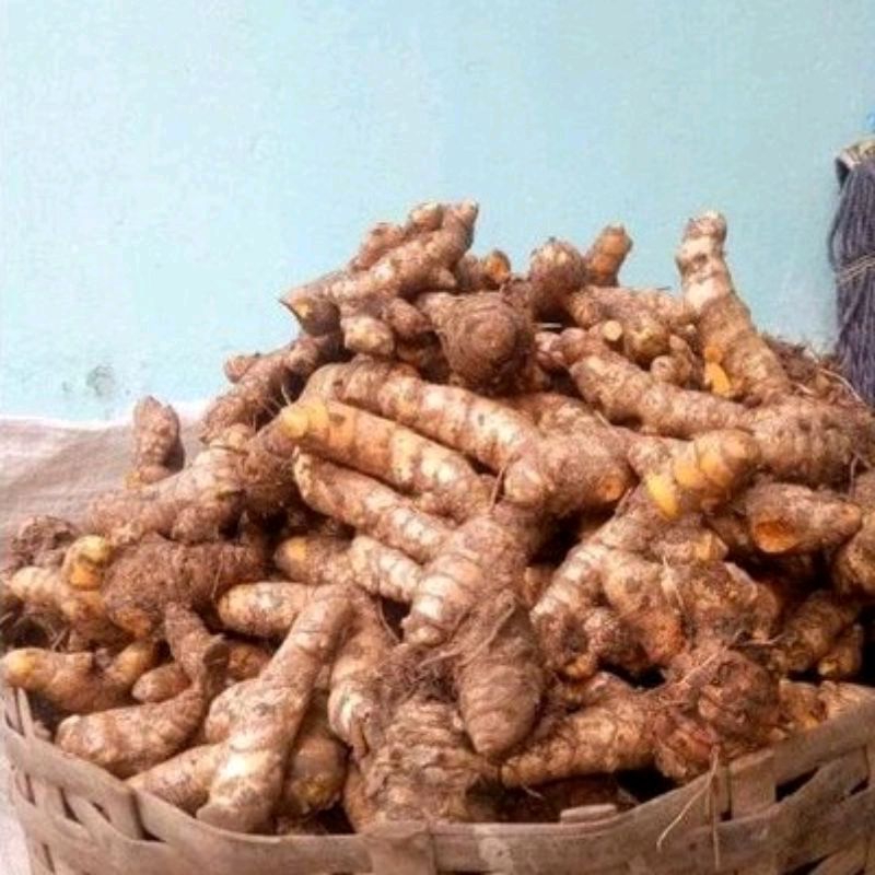 

Temulawak Curcuma Herbal Segar 500gr