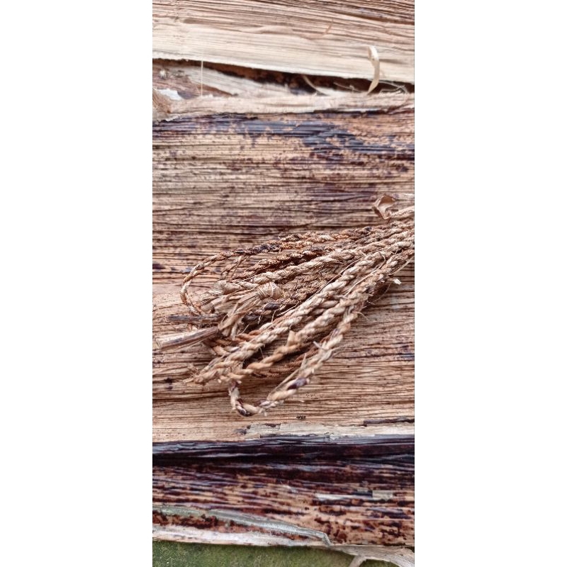 Tali pelepah pisang kering/tali kerajinan pelepah pisang/1meter/pelepah pisang kering