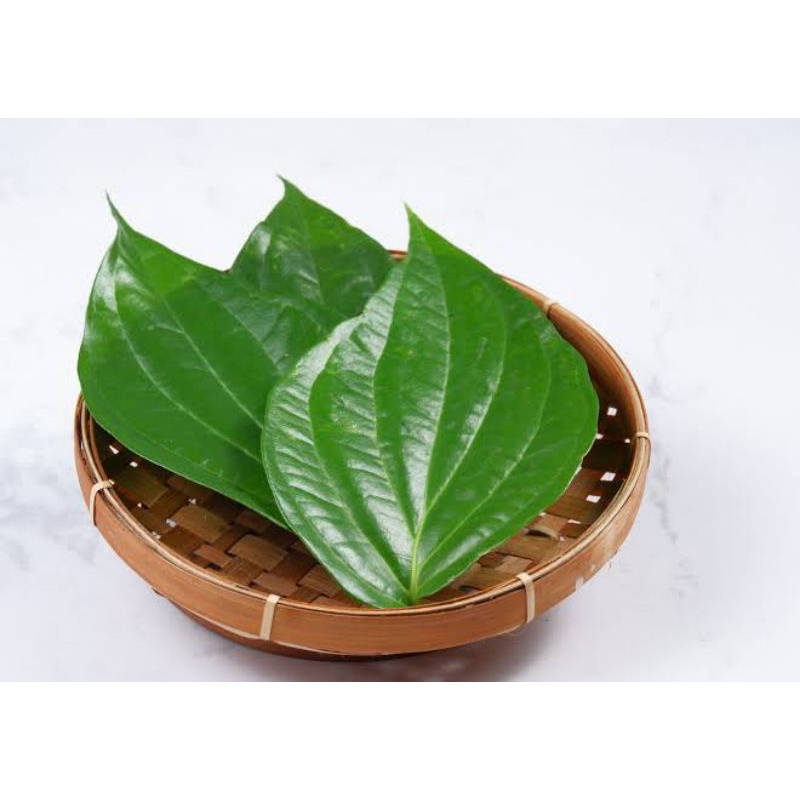 

daun sirih (gratis ongkir / cod )
