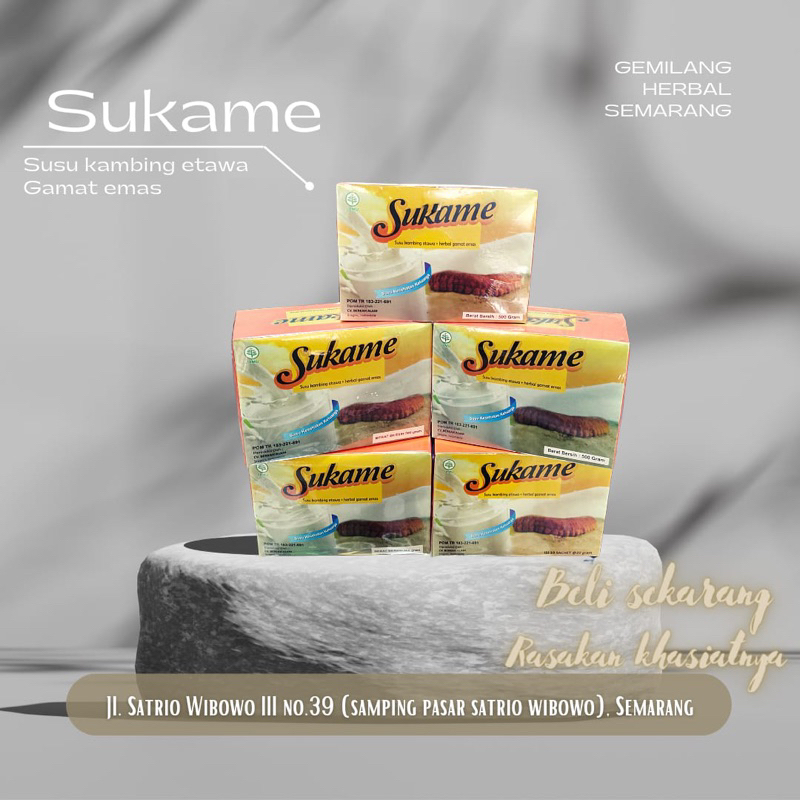 

SUKAME SUSU KAMBING ETAWA PLUS GAMAT EMAS