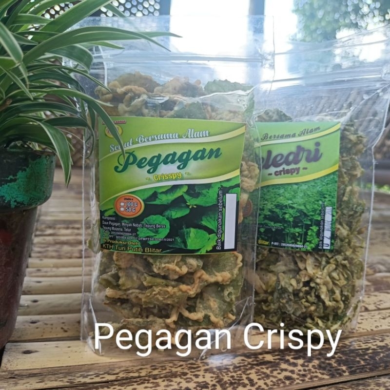 

keripik pegagan crispy