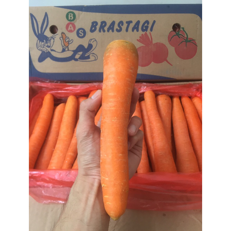 

Wortel Brastagi Organic (10 Kg) Fresh