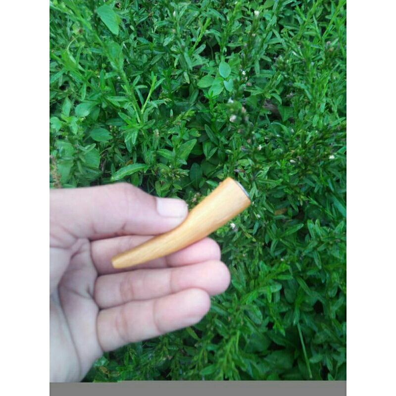 once mini kayu galih kelor kuning emas