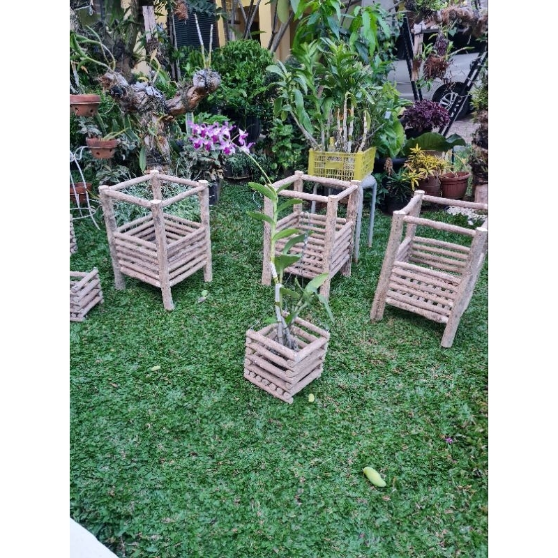 Pot anggrek kayu kopi model berdiri