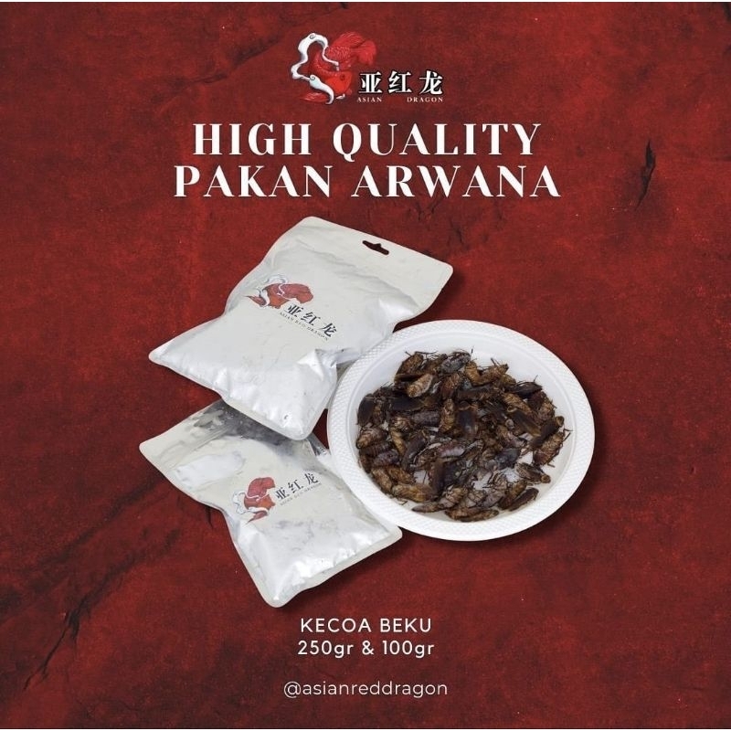 PAKAN IKAN ARWANA - KECOA BEKU 100gr & 250gr
