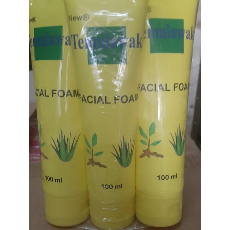 NEW FACIAL FOAM TEMULAWAK BPOM 100 ML