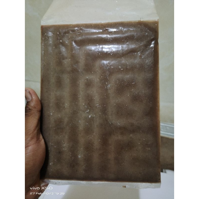 makanan ikan kutu air beku