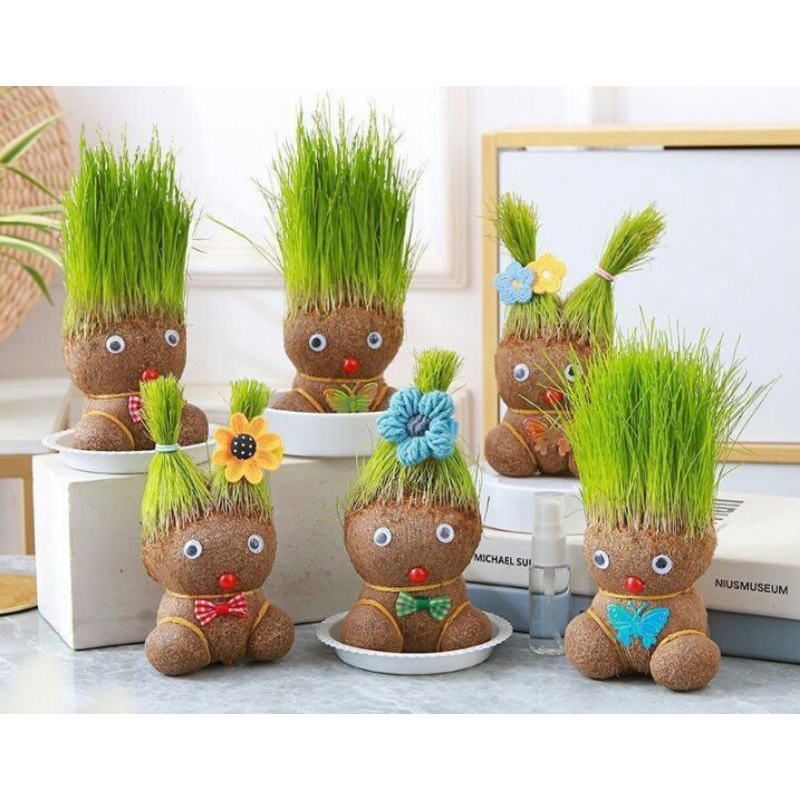 mainan anak anak boneka horta Berambut rumput asli