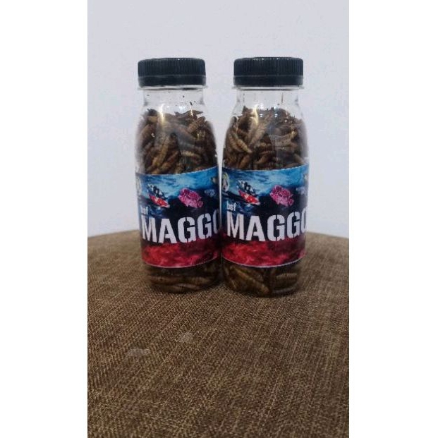 Magot kering BSF/ kemasan 100mil/Beli 3 Gratis 1