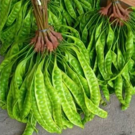 

Pete Jawa Pete Segar Tua Sayur Cikarang