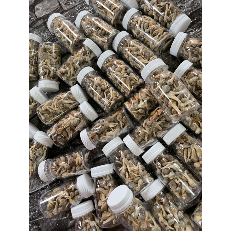 JAMU MPOT AYAM PUTIH UTUH