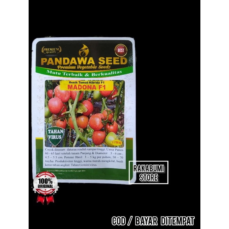 Benih Tomat Hibrida MADONA F1 PANDAWA SEED tahan virus gemini