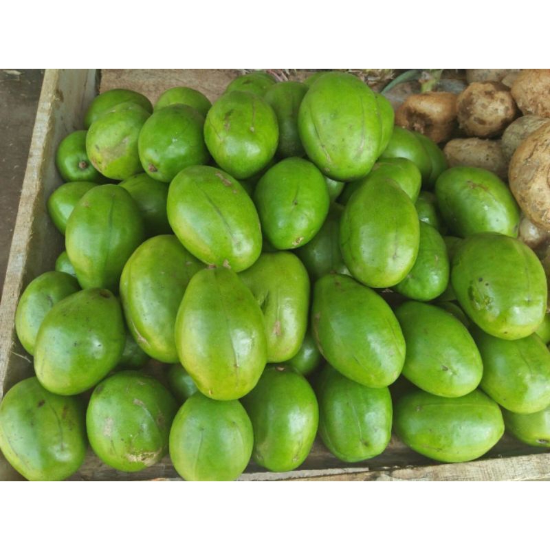 

KEDONGDONG 1KG COCOK UNTUK RUJAK