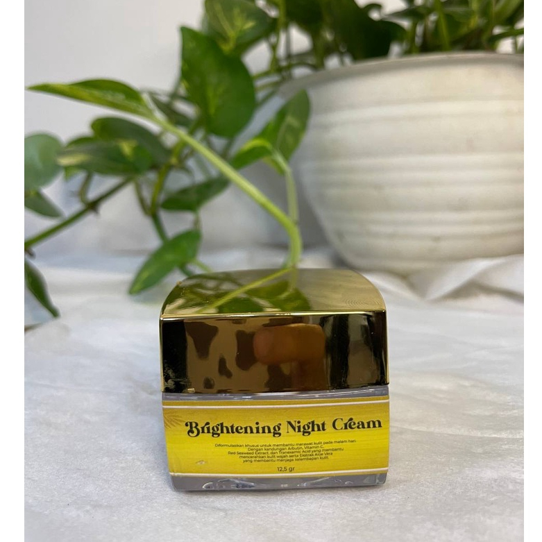 YL Acne Night Cream | Cream Wajah Glowing