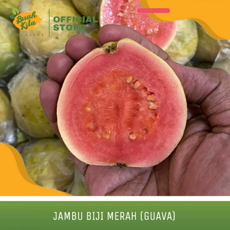 

JAMBU BIJI MERAH GUAVA LOKAL