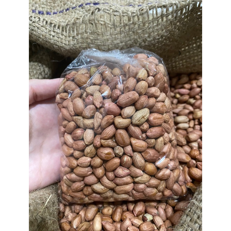 

Kacang Tanah