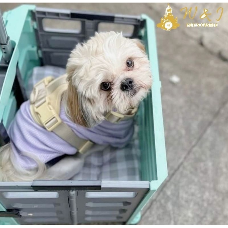 Petscastle - Pet Trolley Cushion alas duduk Stroller Anjing Kucing