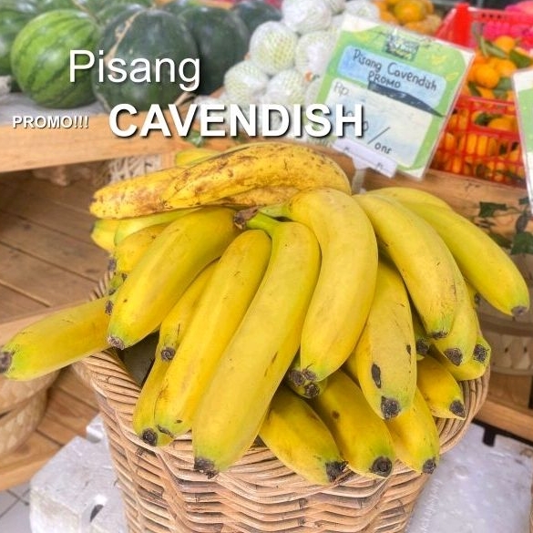 

PROMO PANEN RAYA