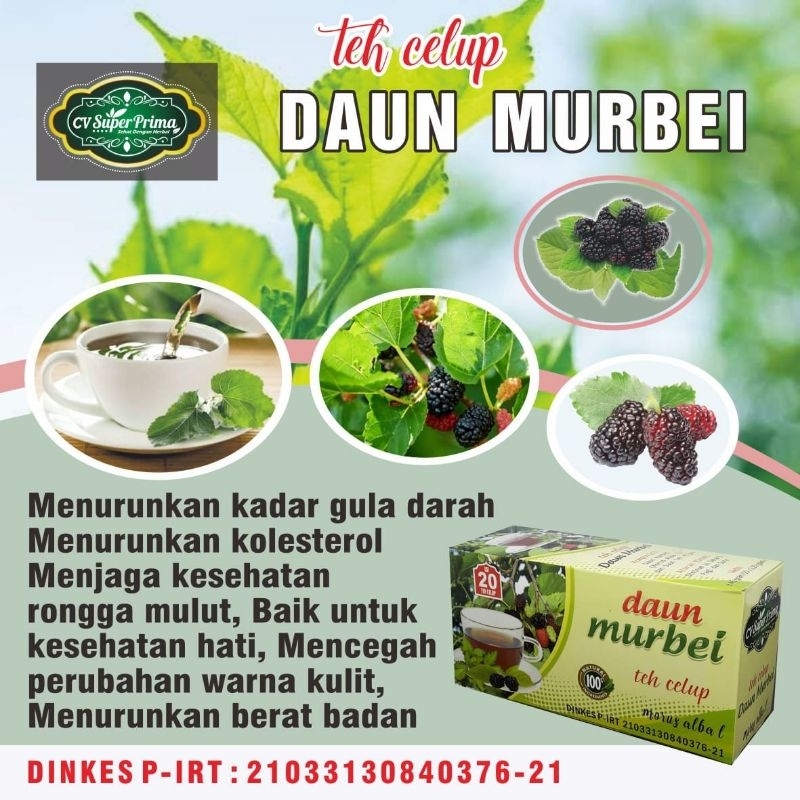 

TEH CELUP DAUN MURBEI