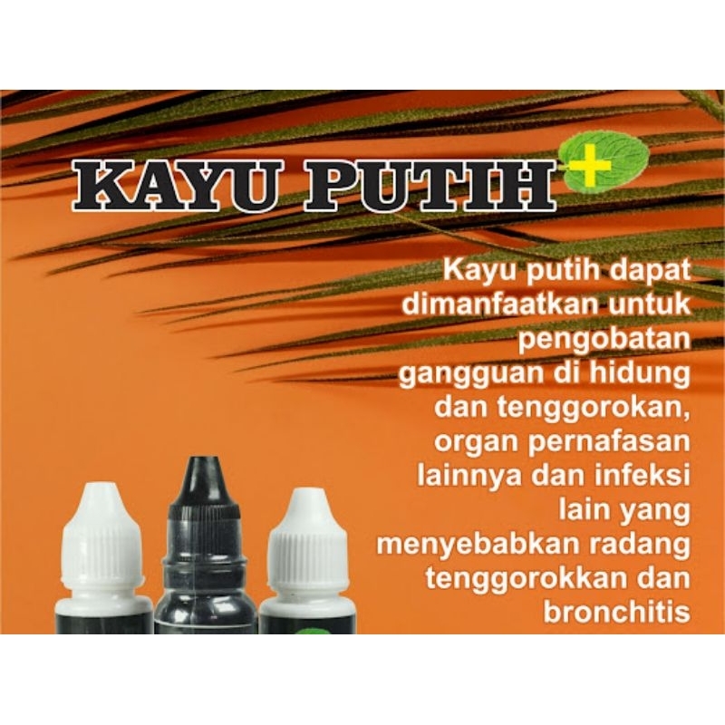 minyak kayu putih plus