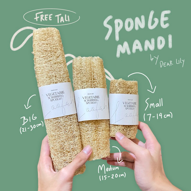Loofah Gambas Oyong Kering Natural Spons / Spons Badan Alami