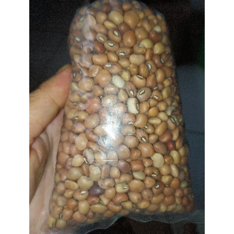 kacang tolo