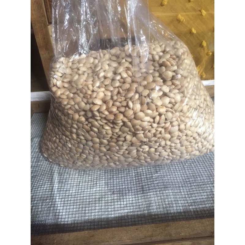 Kacang Sacha inchi putih kacang inka kacang gunung 500 gram