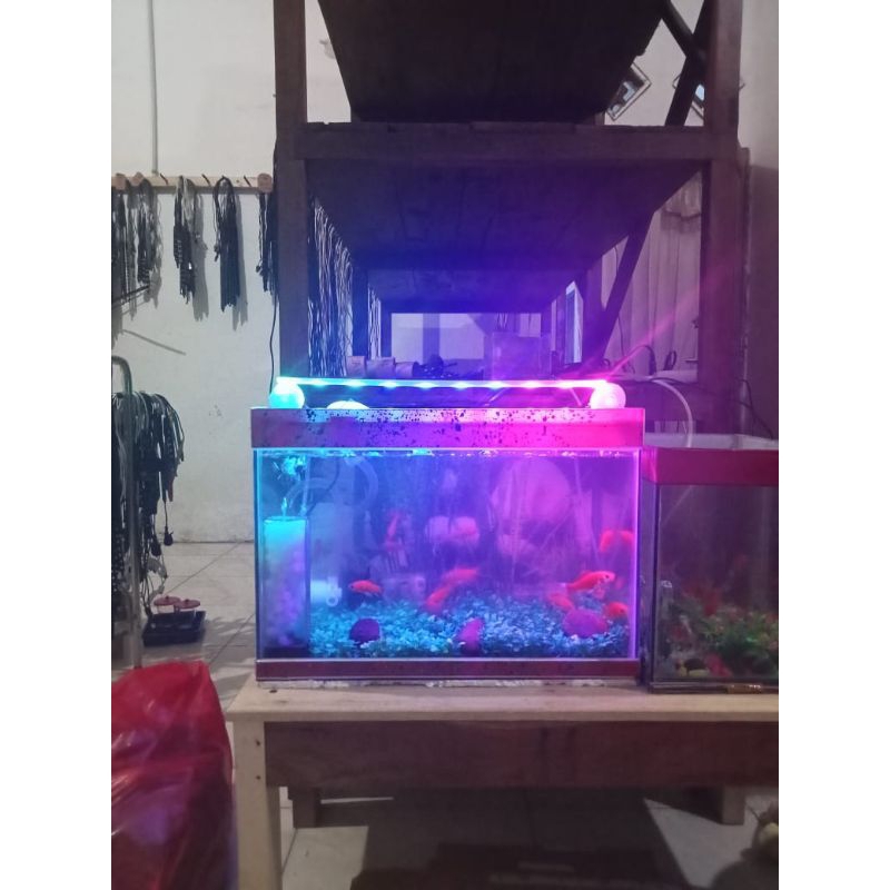 Lampu Aquarium 3 Warna Pink+Biru+Hijau 5 Volt 50 Cm.