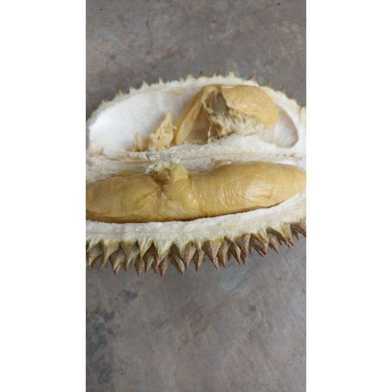 

Durian Kikim