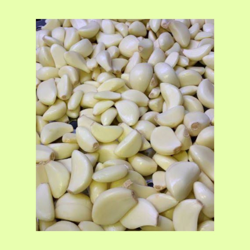 

Bawang putih kupas / bawang putih kupas fresh