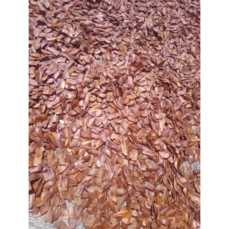 

BIJI MAHONI KERING 1KG