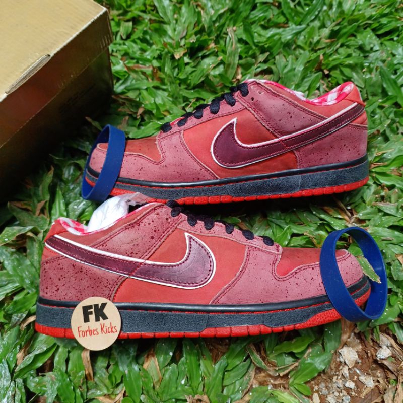 Nike SB Dunk Low Concepts Red Lobster