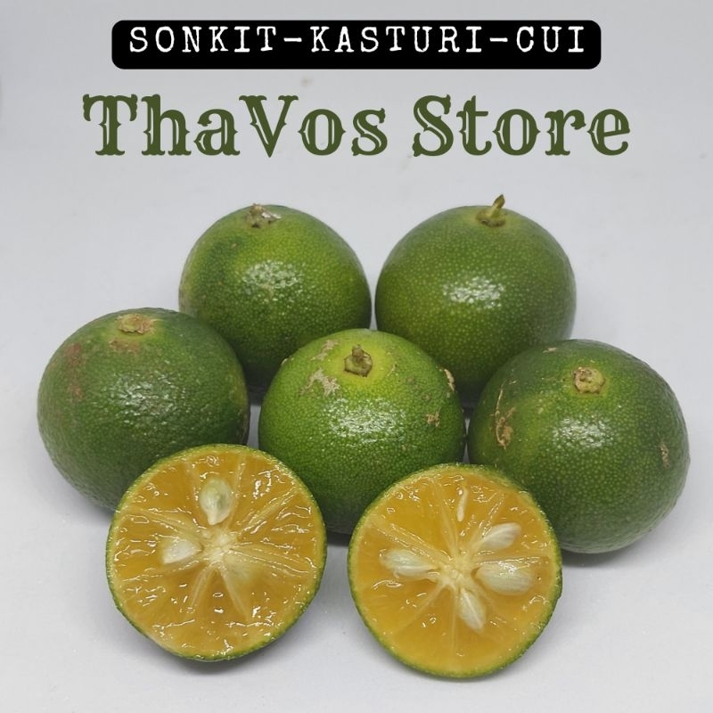 

Jeruk Kasturi 1kg Sonkit KIP Kunci Lemon Cui
