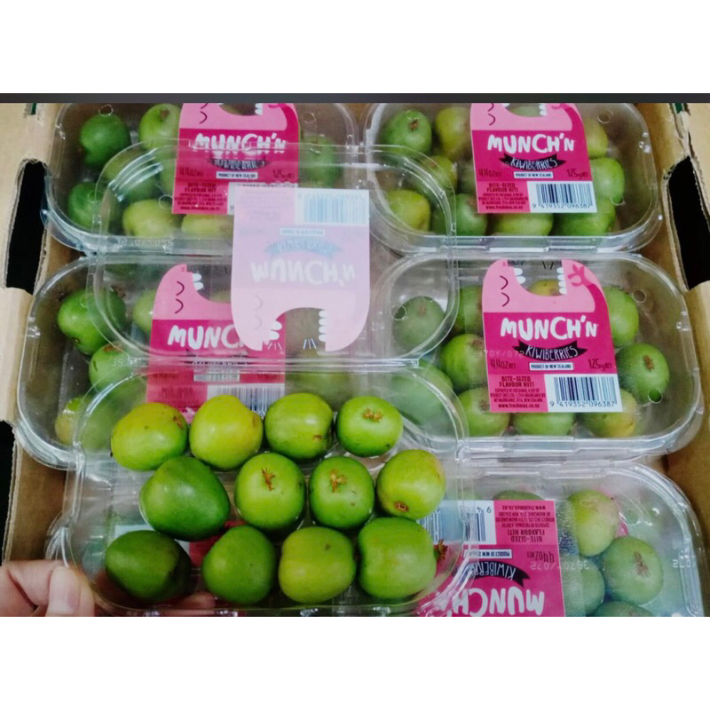 

Buah kiwi Berries New Zeland 125 grm | kiwi berry 125 grm
